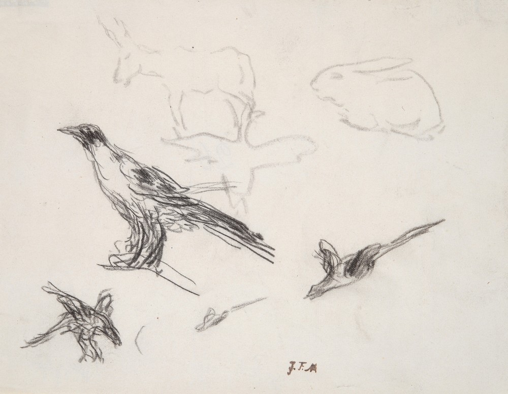 Ravens, Donkey, Rabbit, and Goose