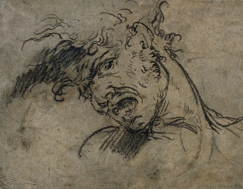 Head of a Screaming Man (recto)