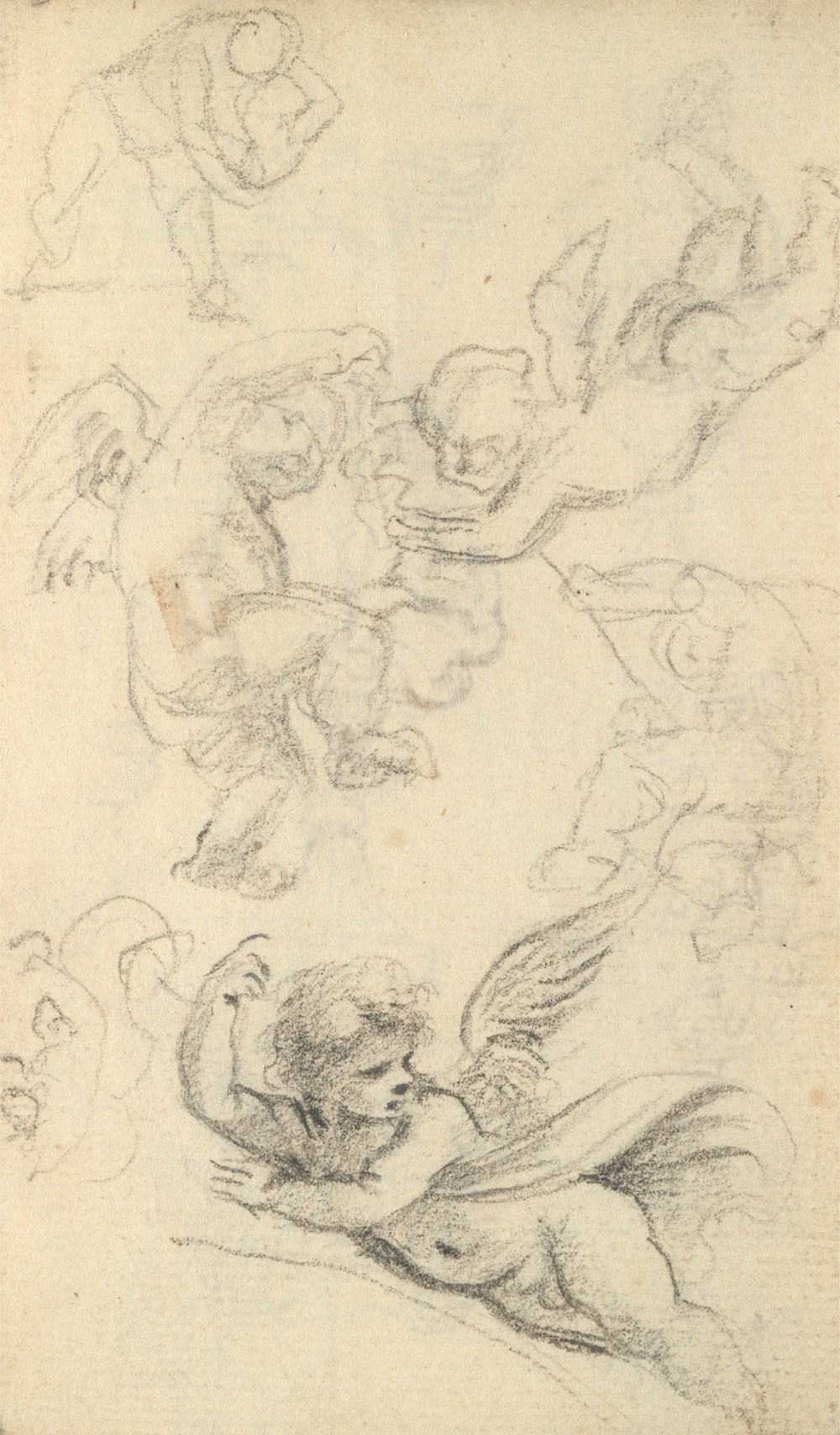 Study of a Vase