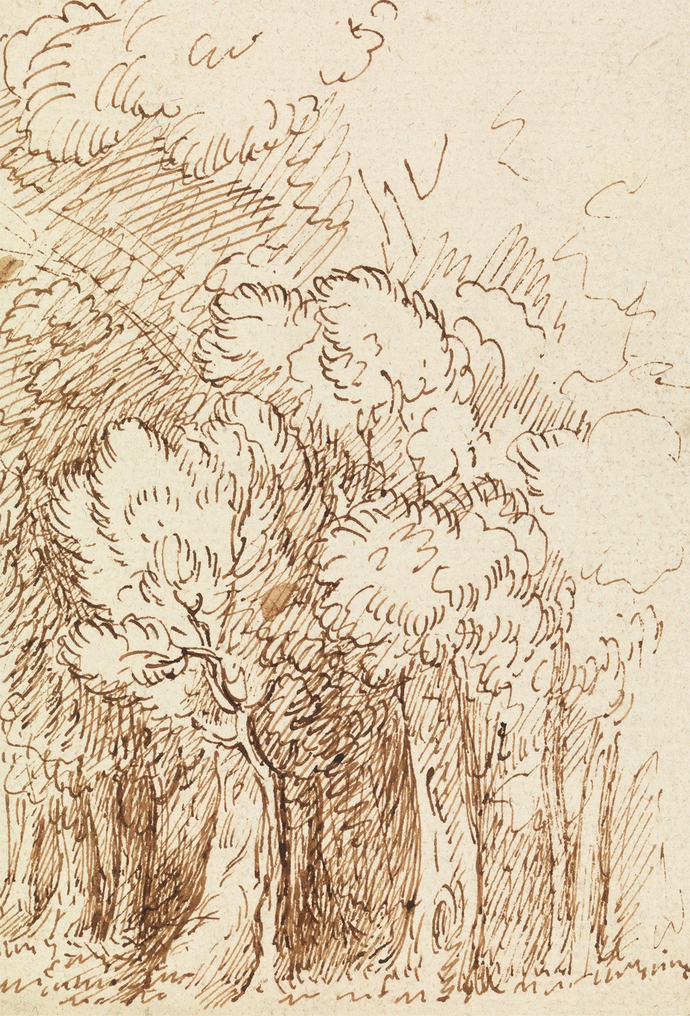 Study of Trees