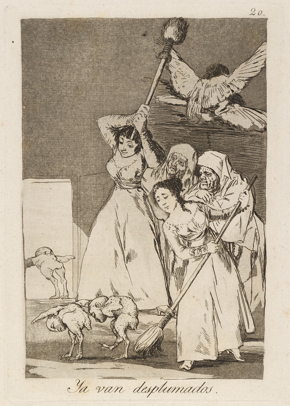 Ya van desplumados. (There they go plucked.)