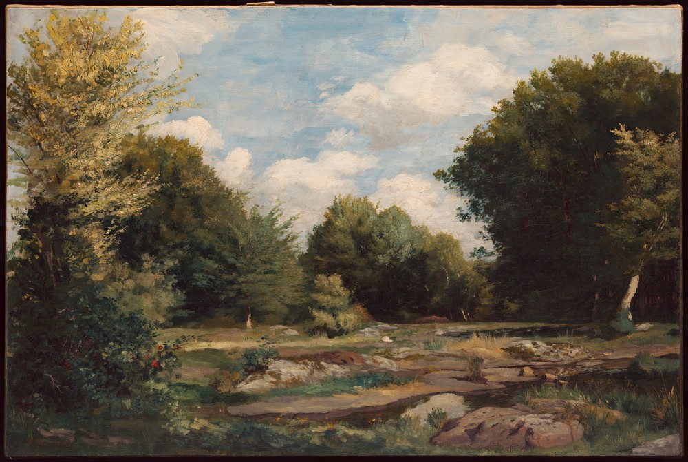 Clearing in the Woods