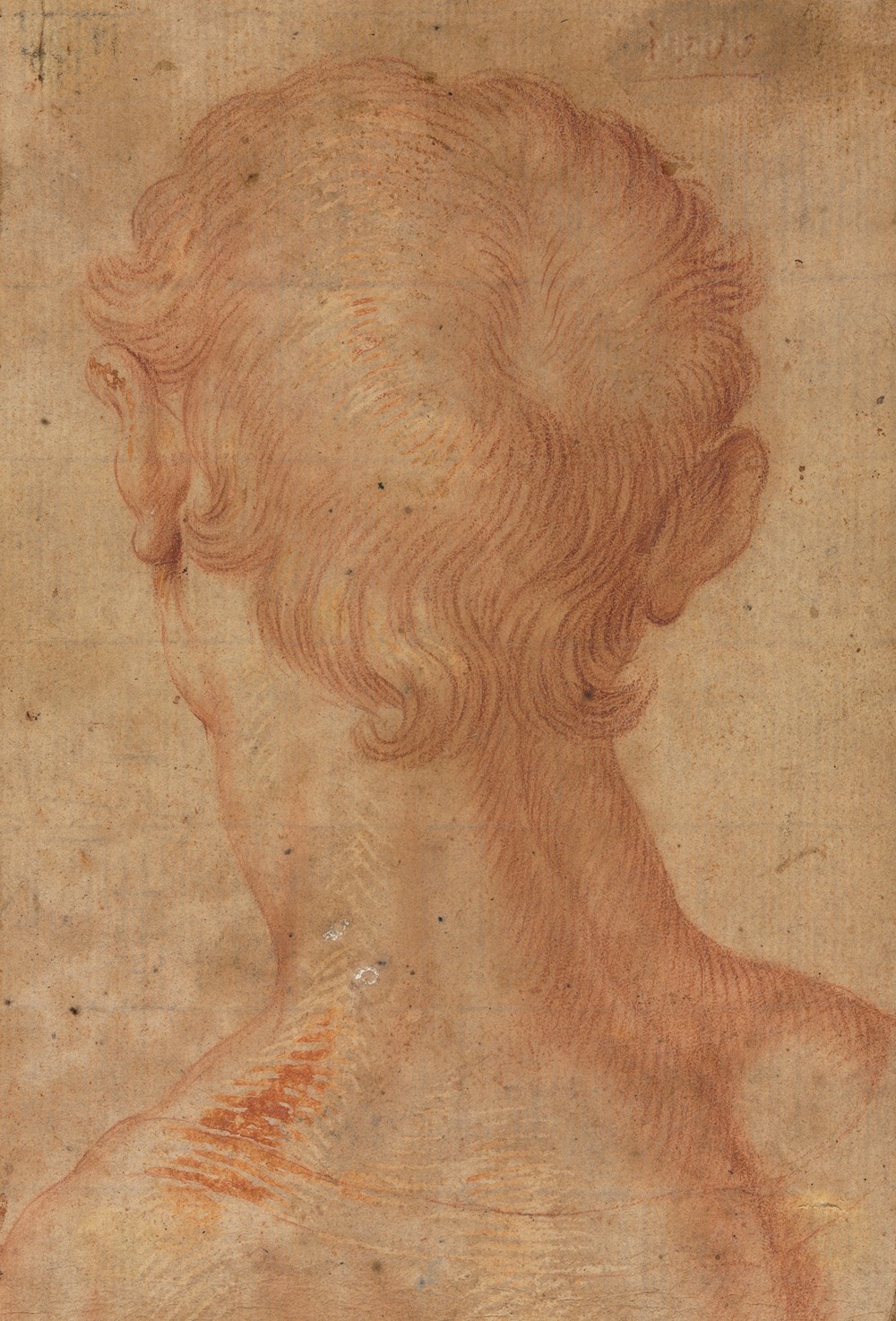 Man’s Head from the Back (16th century?)