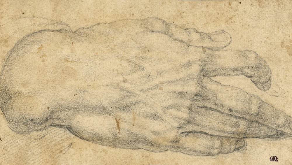 Study of a man’s right hand