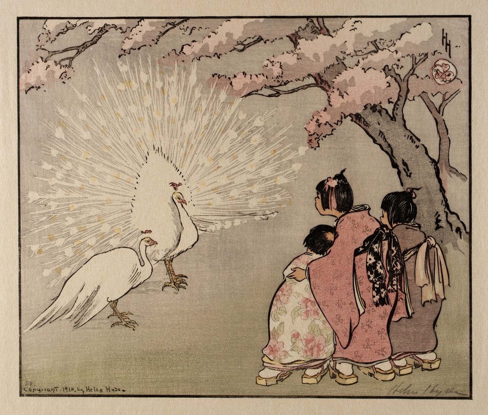 The White Peacock