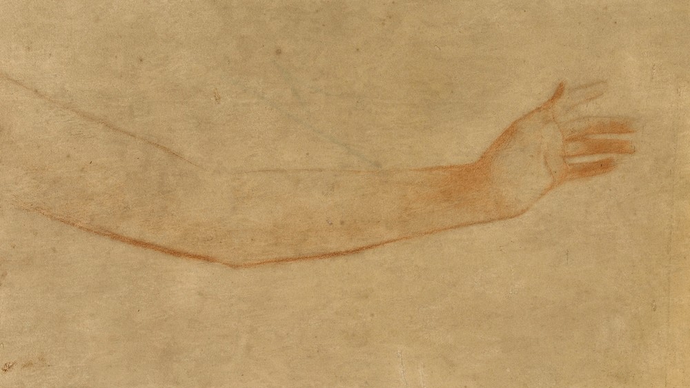 Etude de bras