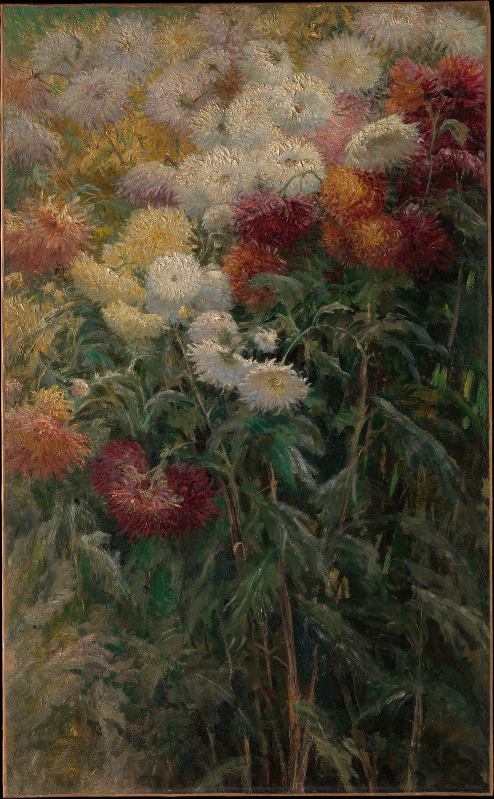 Chrysanthemums in the Garden at Petit-Gennevilliers