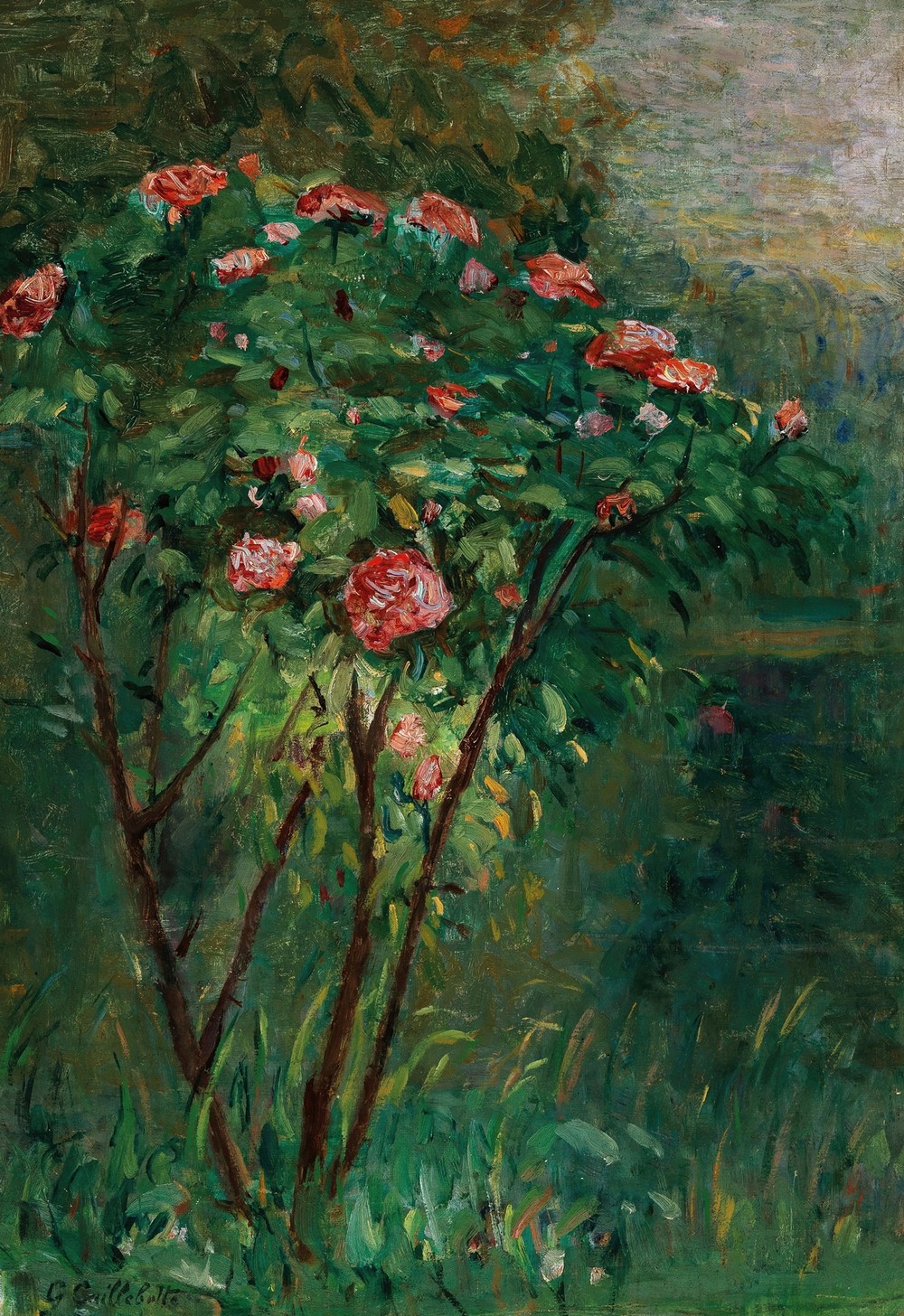 Le rosier fleuri (c. 1884–1885)