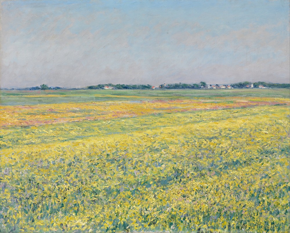 The plain of Gennevilliers, yellow fields