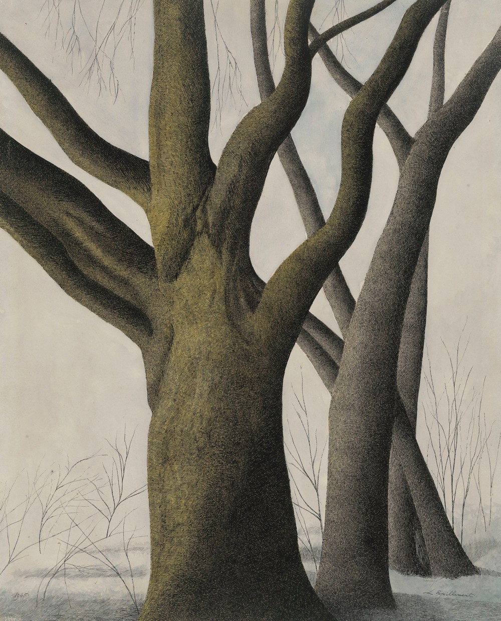 Big Tree