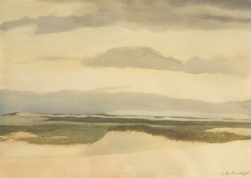 Duinen