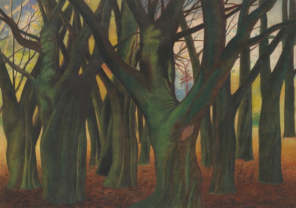 Groene bomen