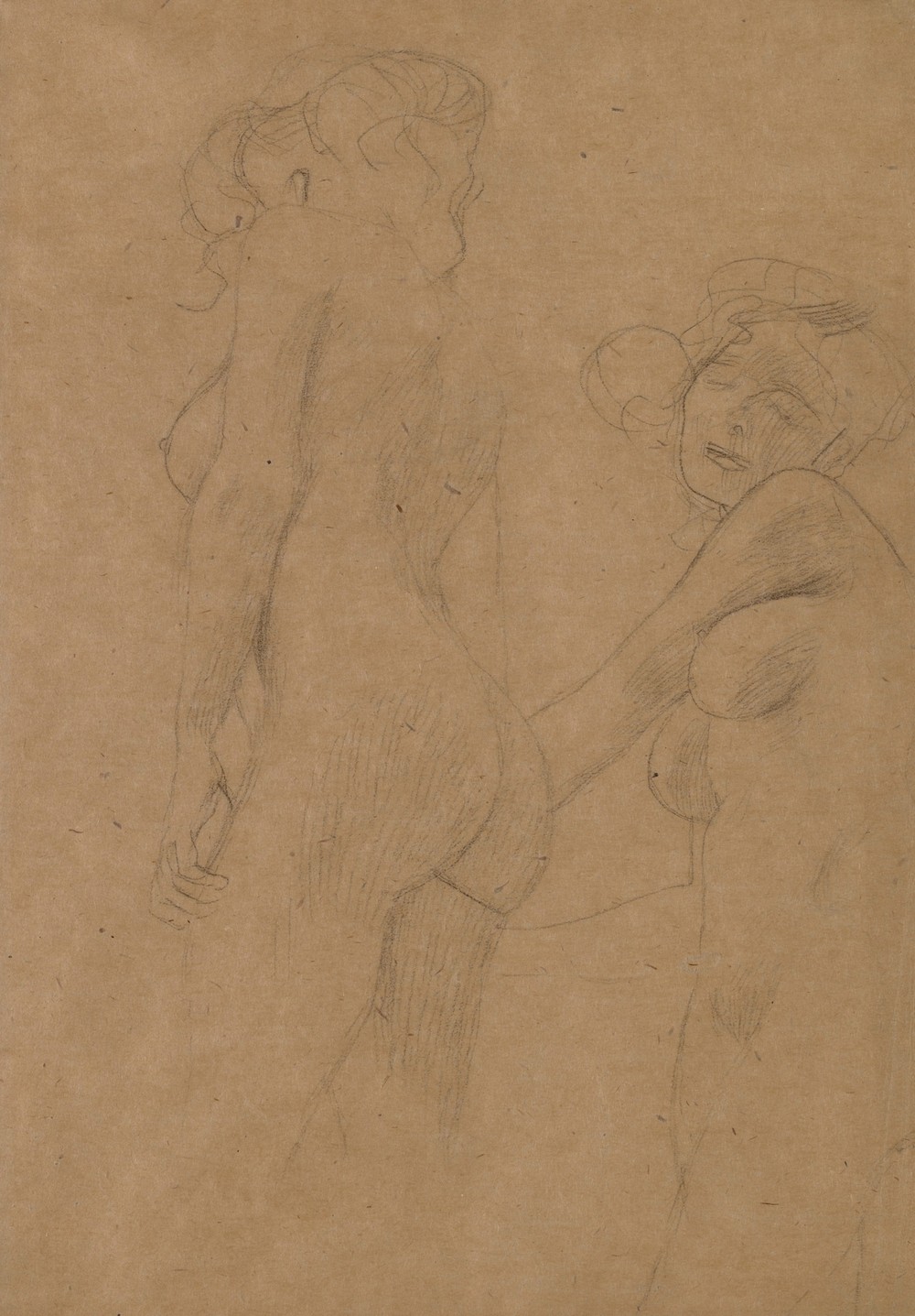 Two Female Nudes Standing