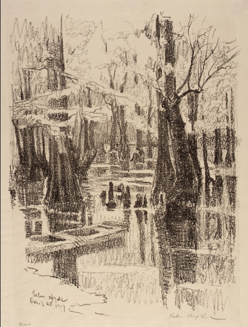 Cypress Swamp