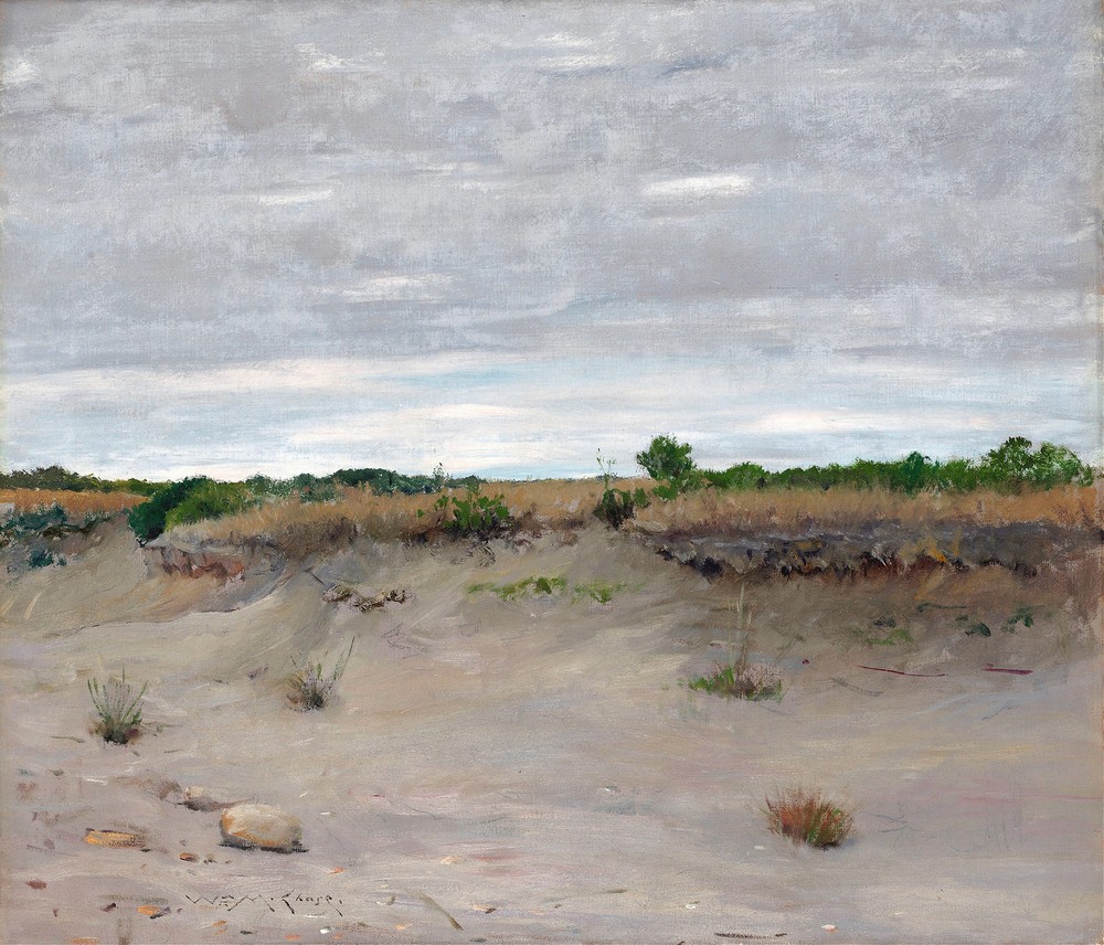 Wind-Swept Sands