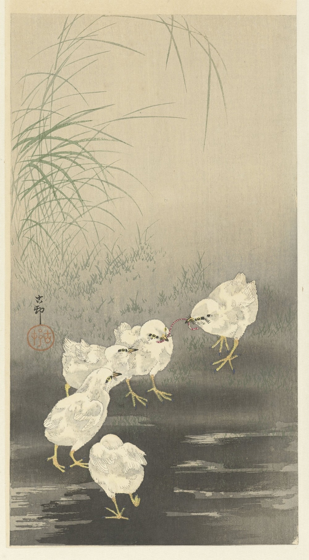 Chicks and Worm