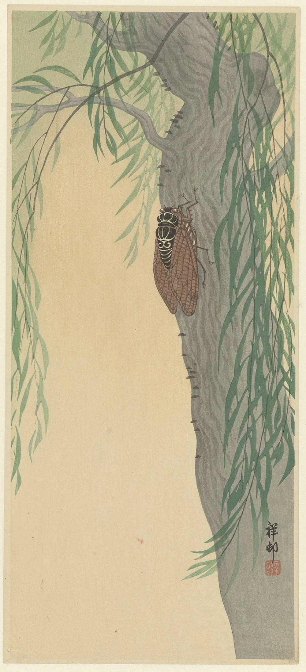 Cicada on tree