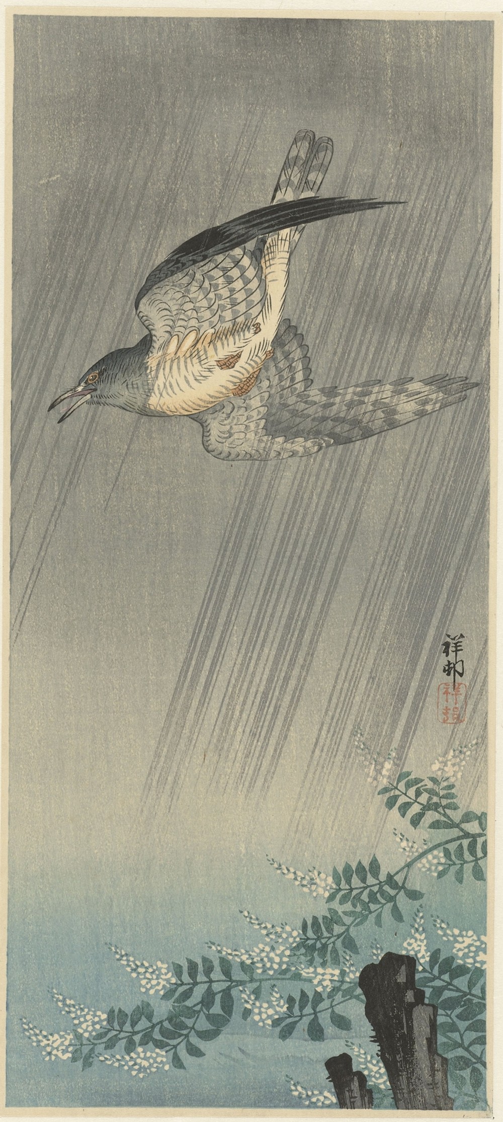 Cuckoo in storm