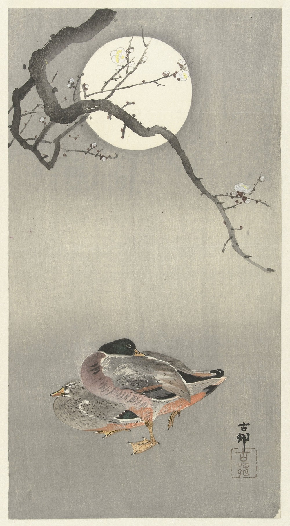 Ducks at full moon