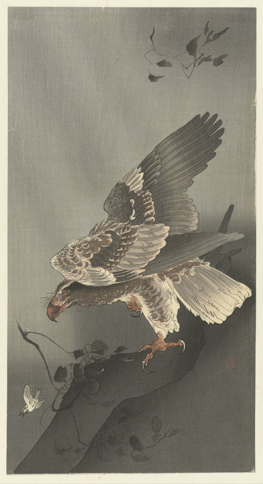 Eagle lurking for prey