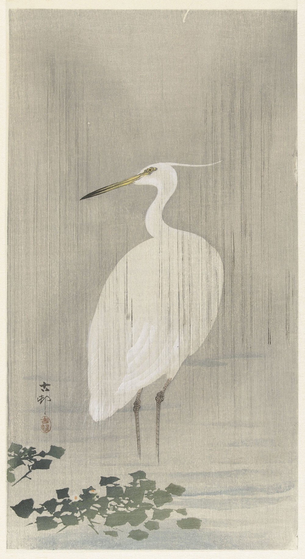 Egret in rain