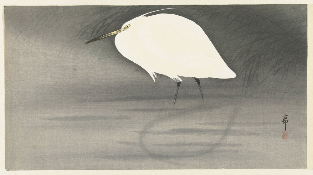 Egret.