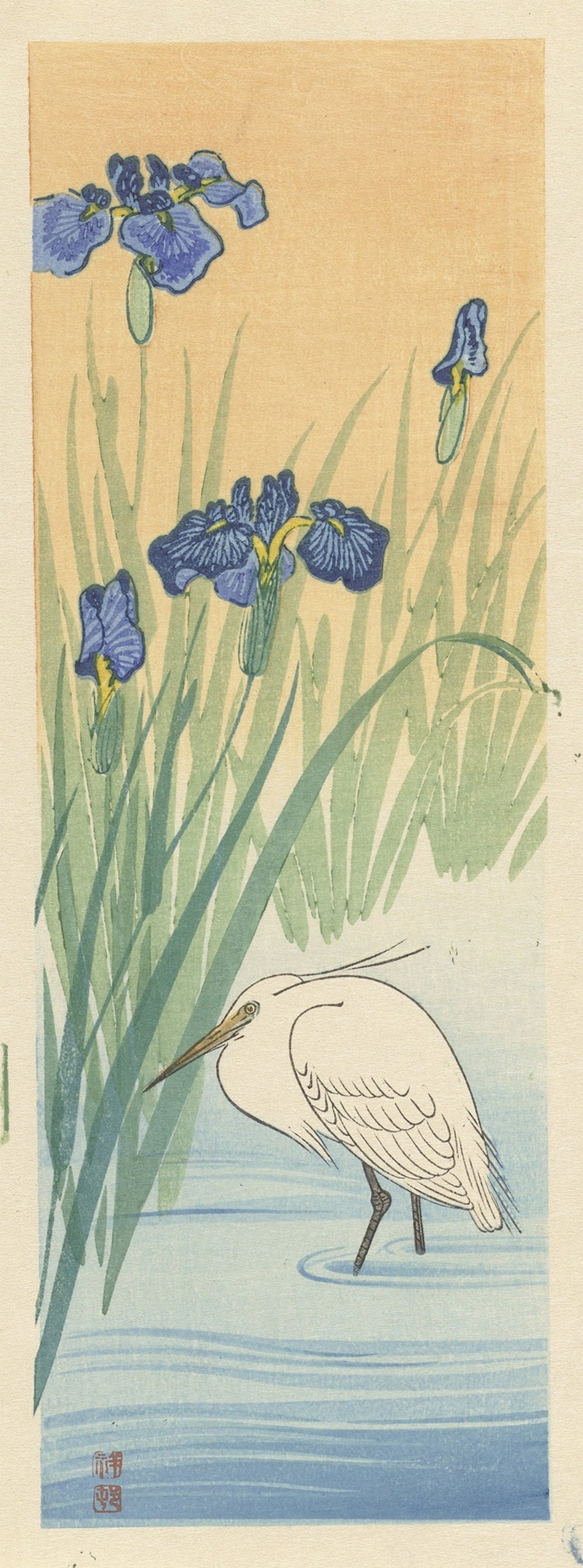 Egret