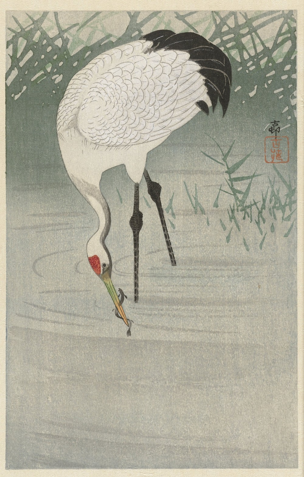 Fishing crane in shallow water