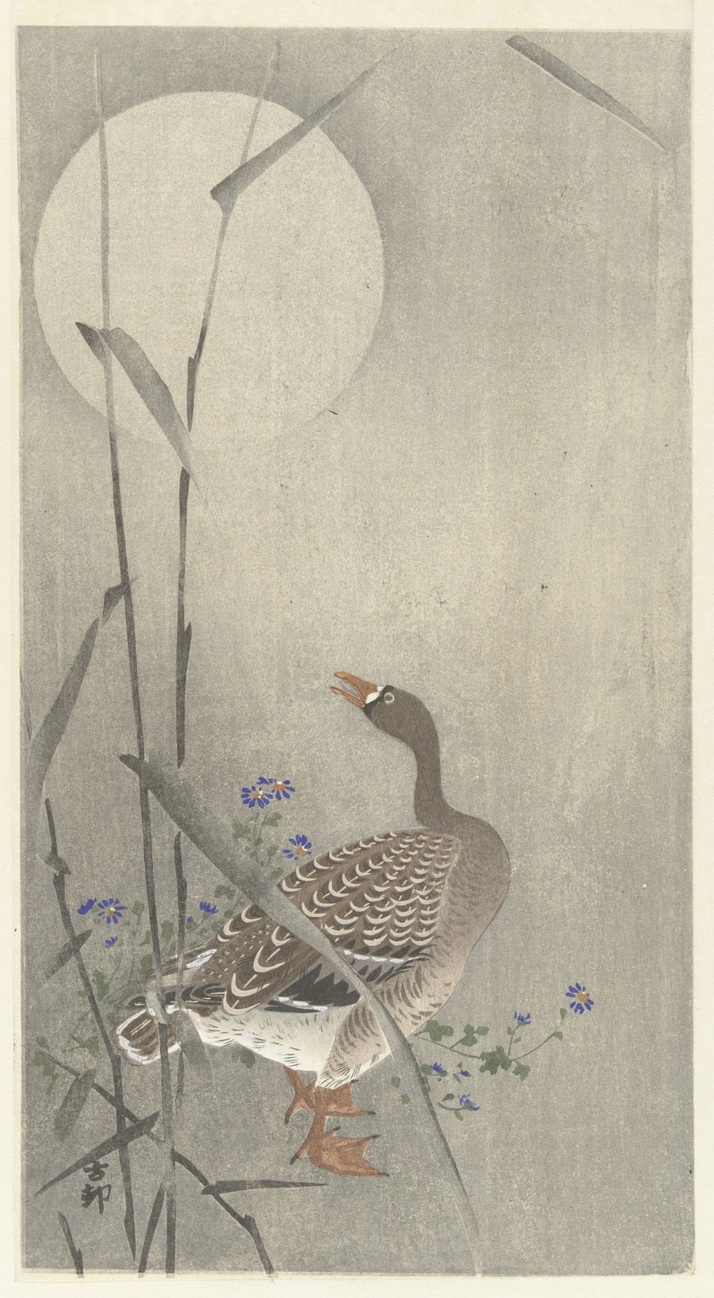 Goose at full moon