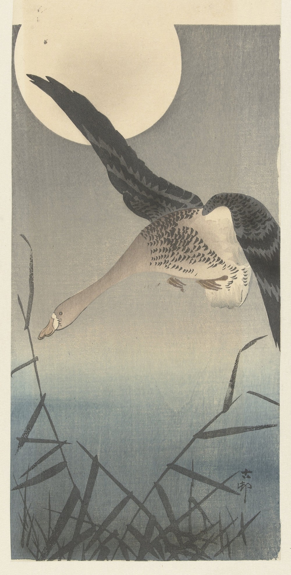 Goose