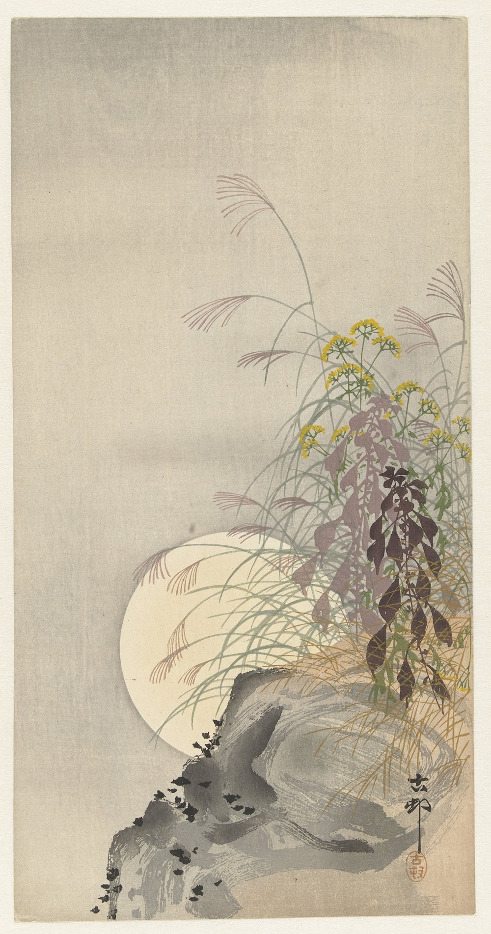 Grasses at full moon