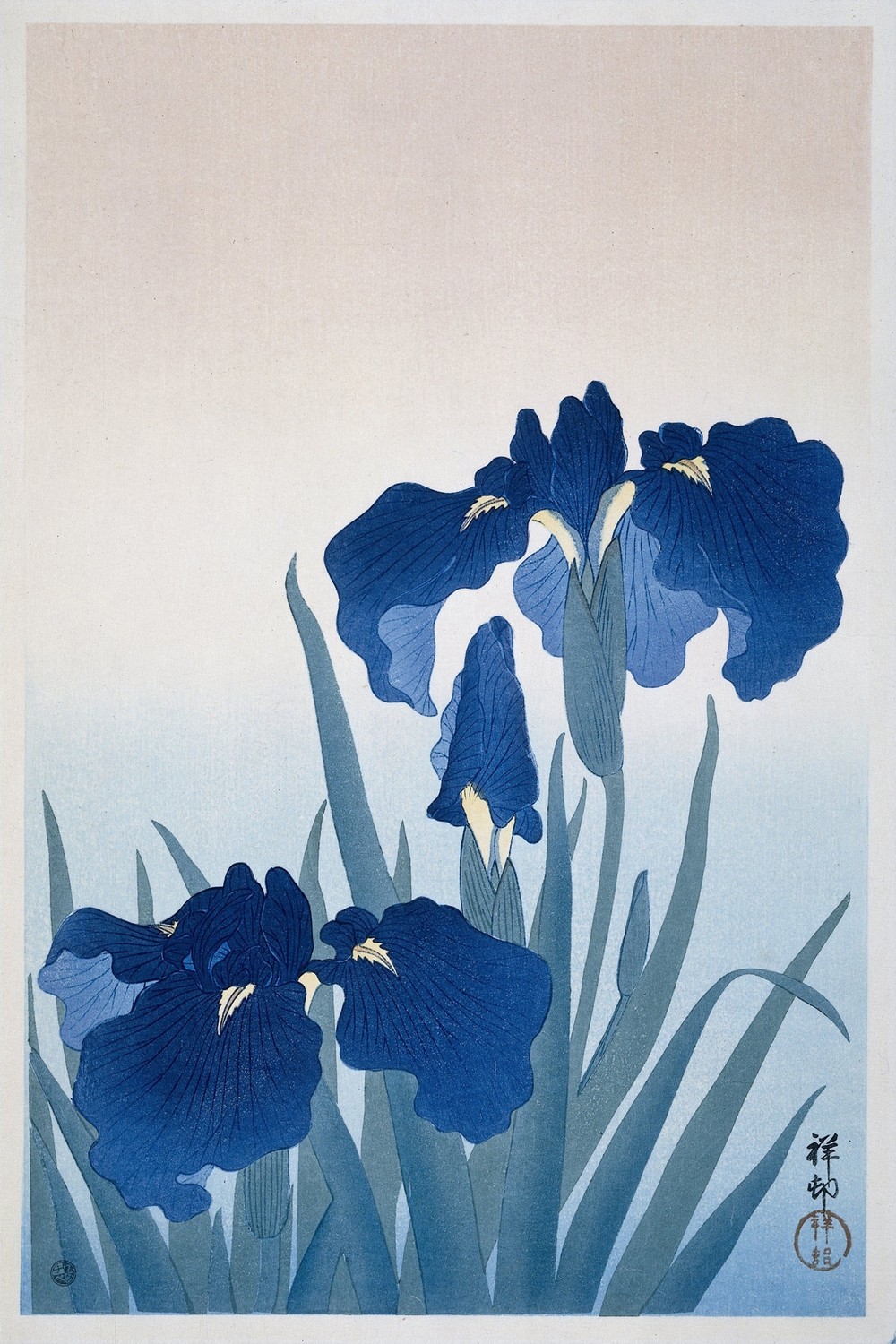 Irises