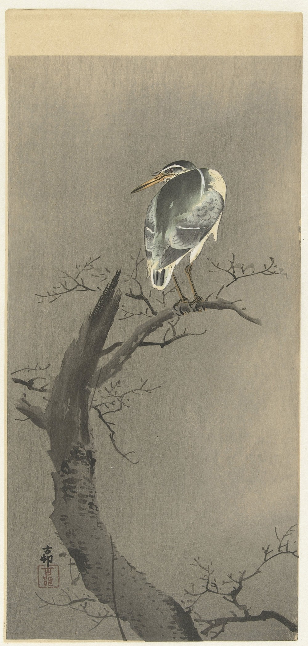 Kwak on branch