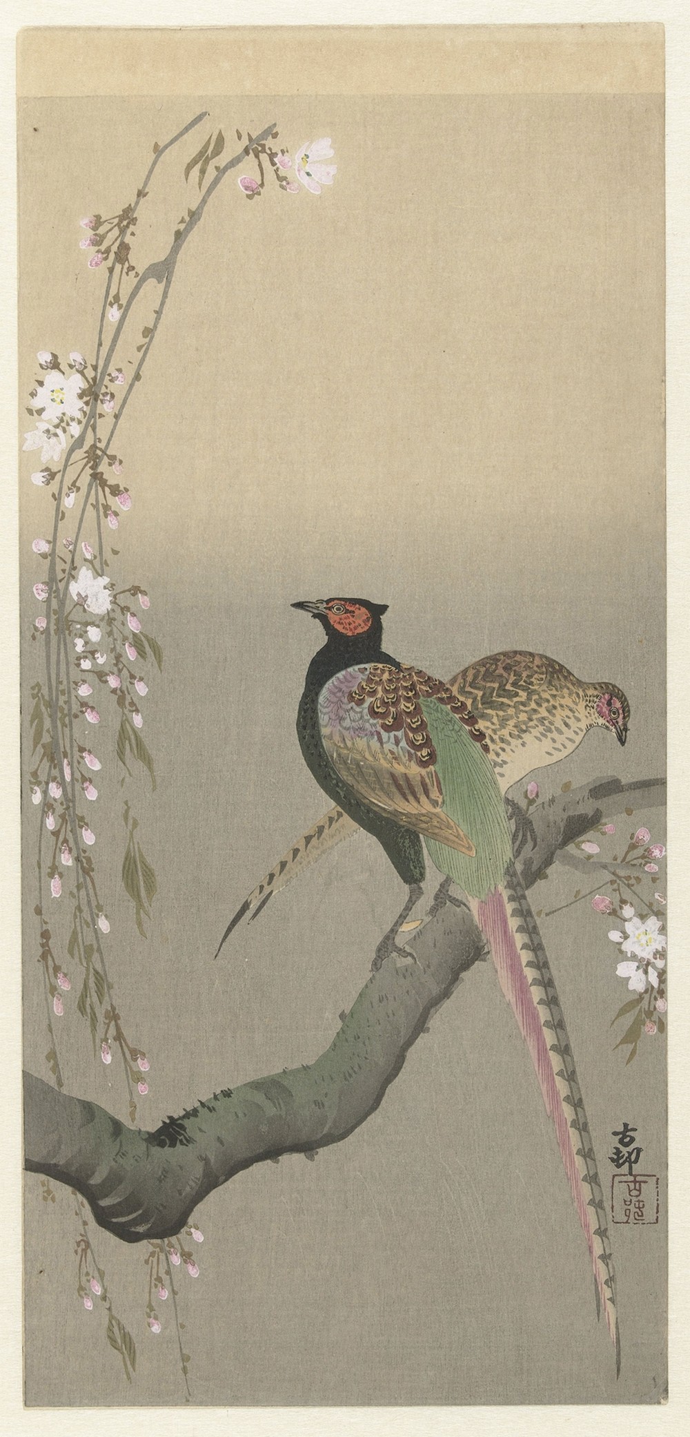 Pair of pheasants and cherry blossom