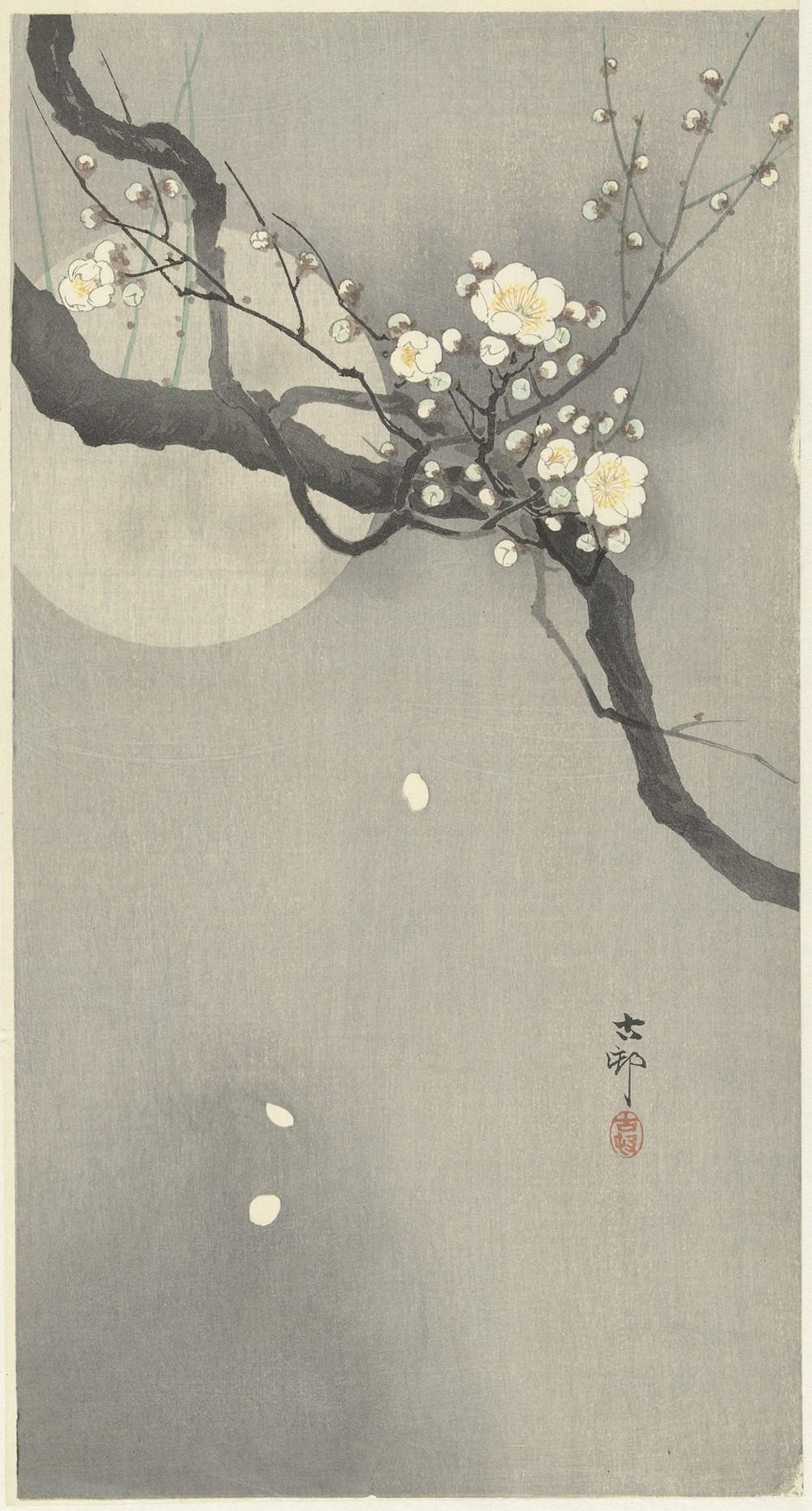 Plum blossom and full moon