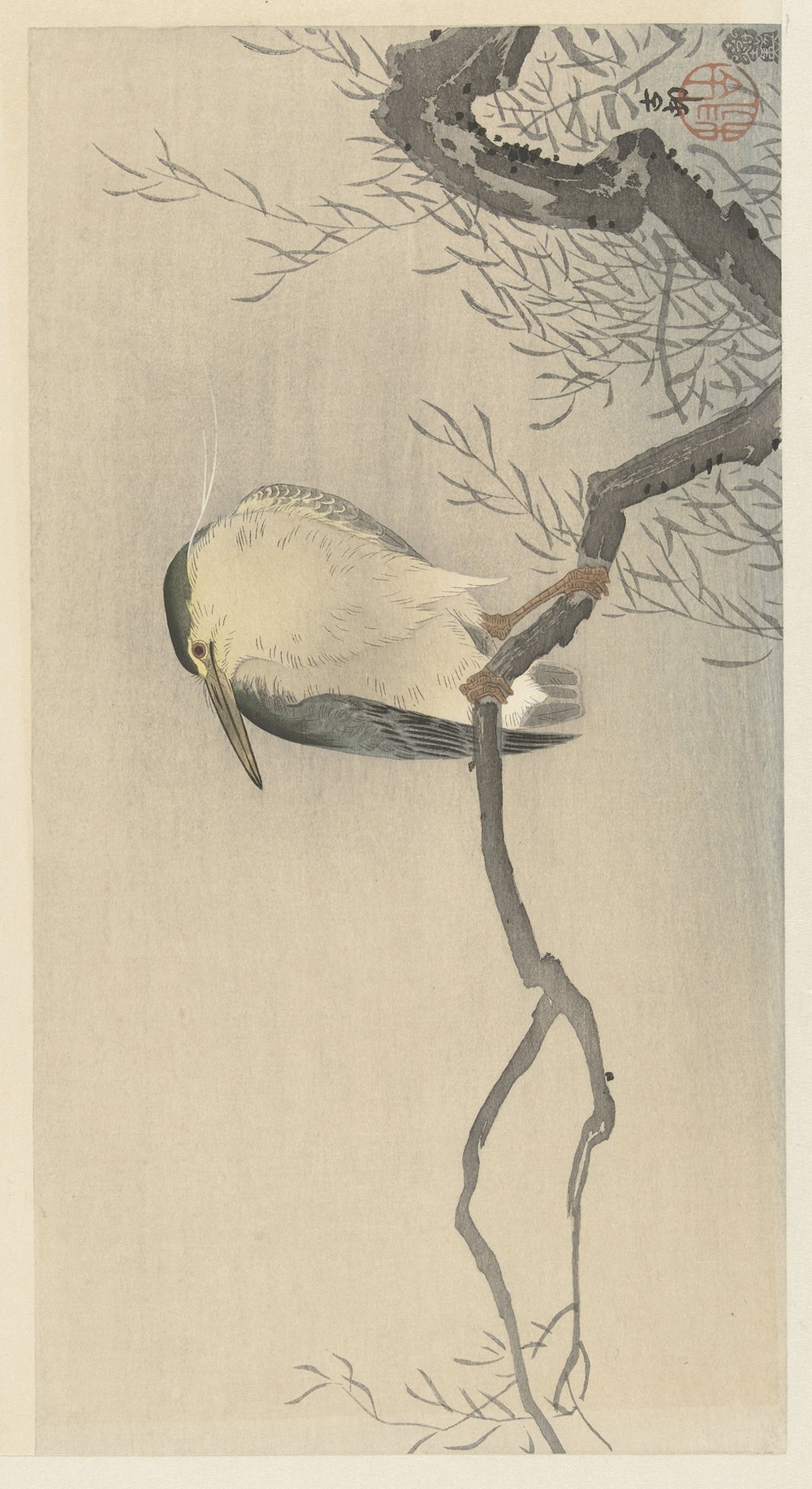 Quack on whimsical branch