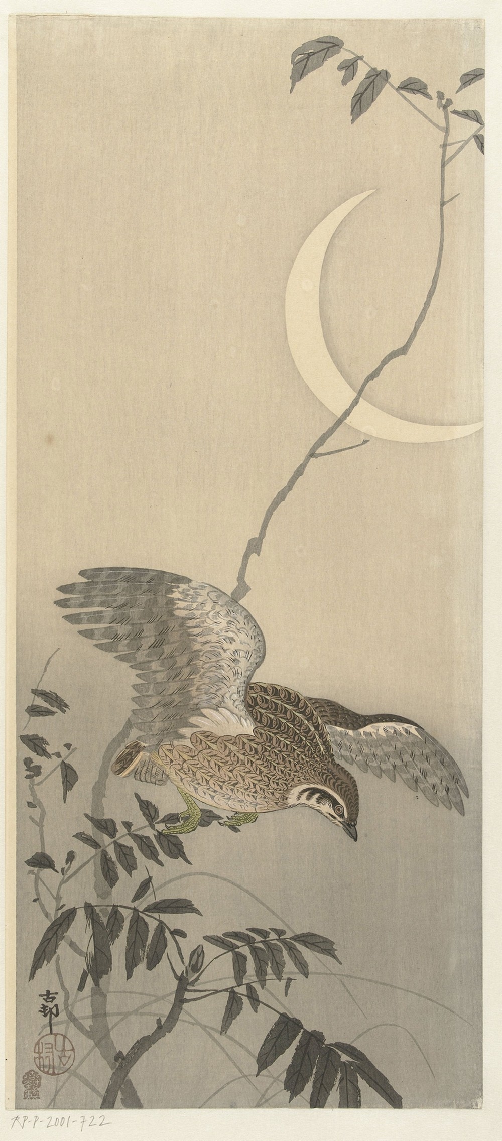 Quail at sickle moon