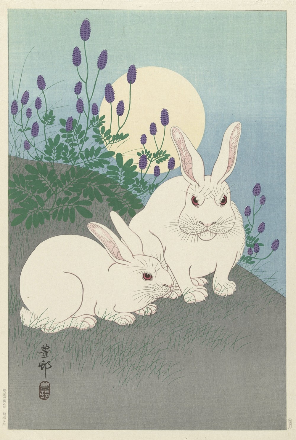 Rabbits at full size