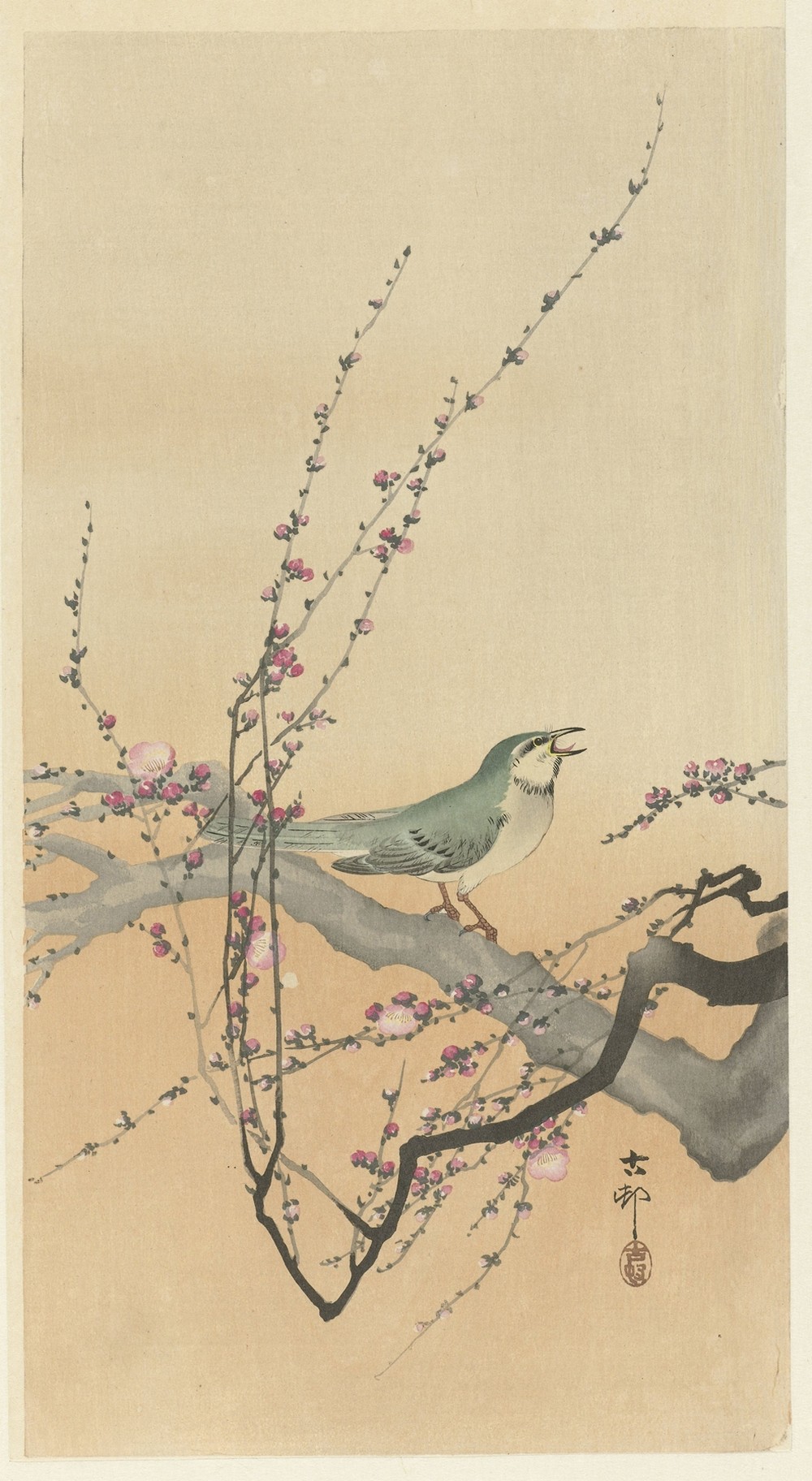 Songbird and plum blossom
