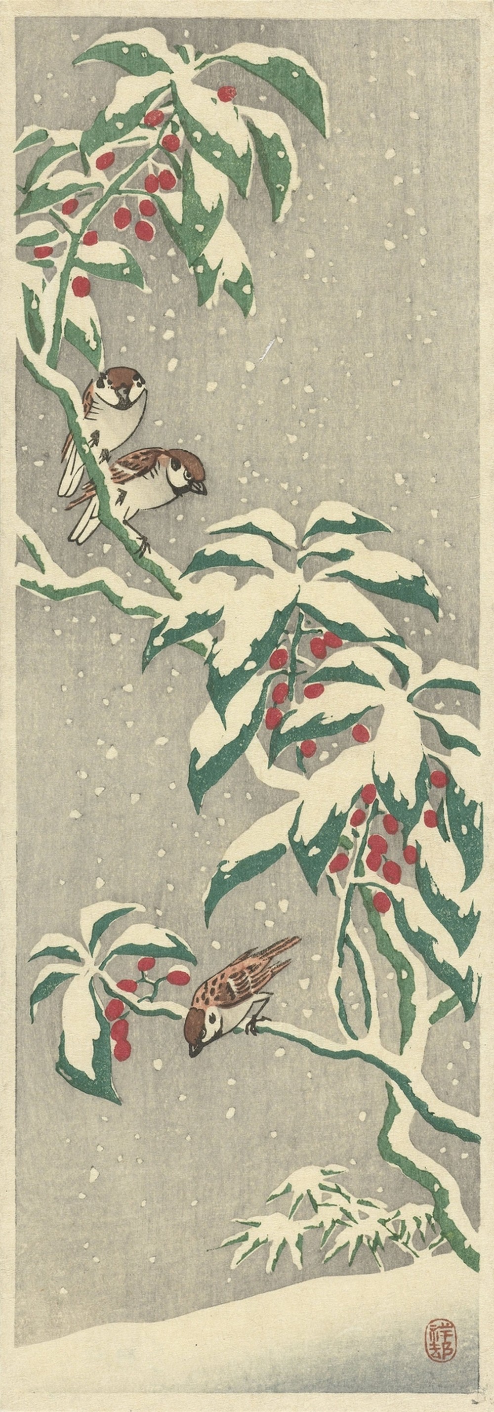 Sparrows on snowy currant bush