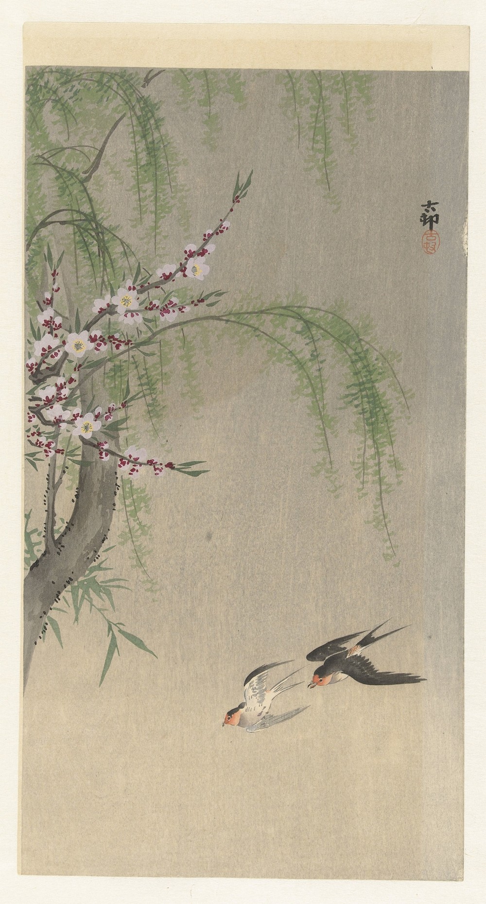 Swallows in flight