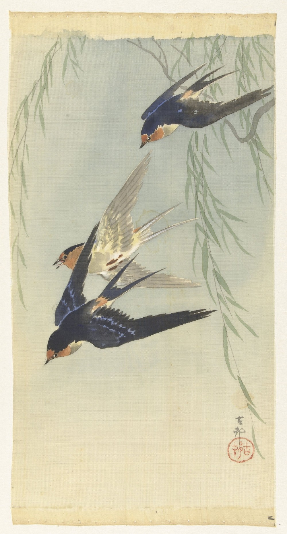 Three birds in full flight