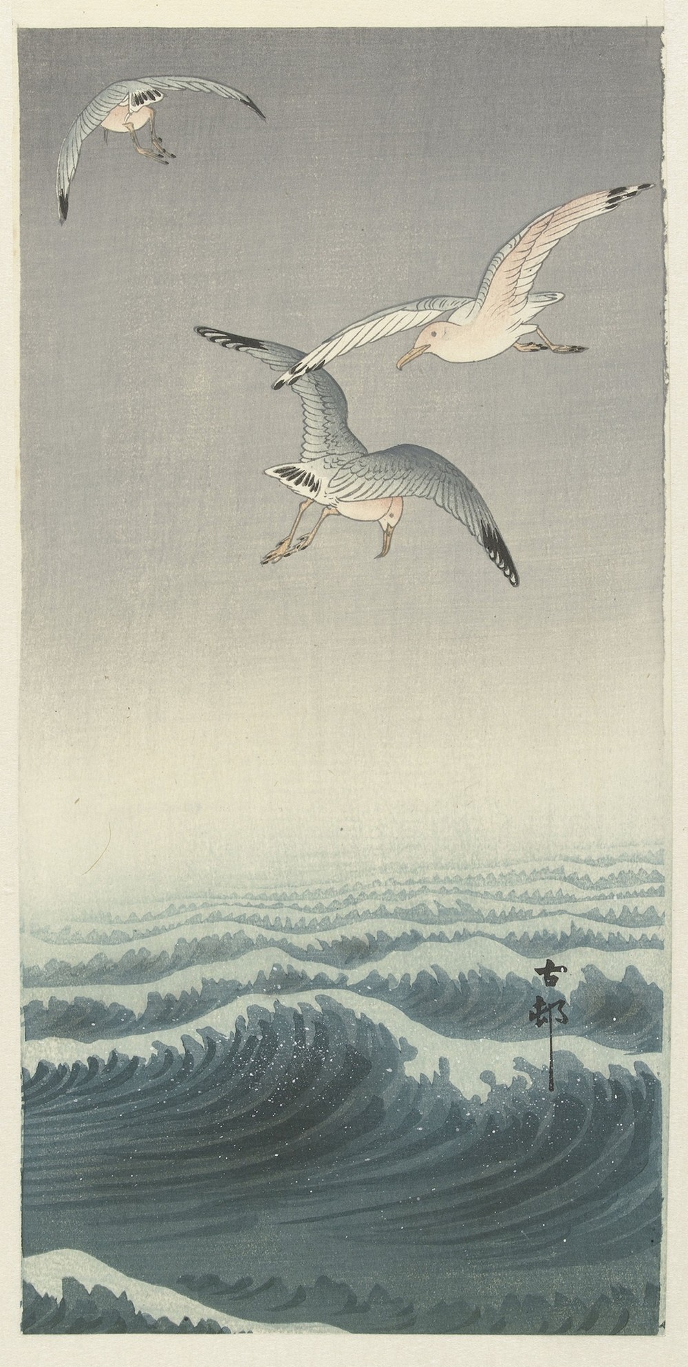 Three gulls
