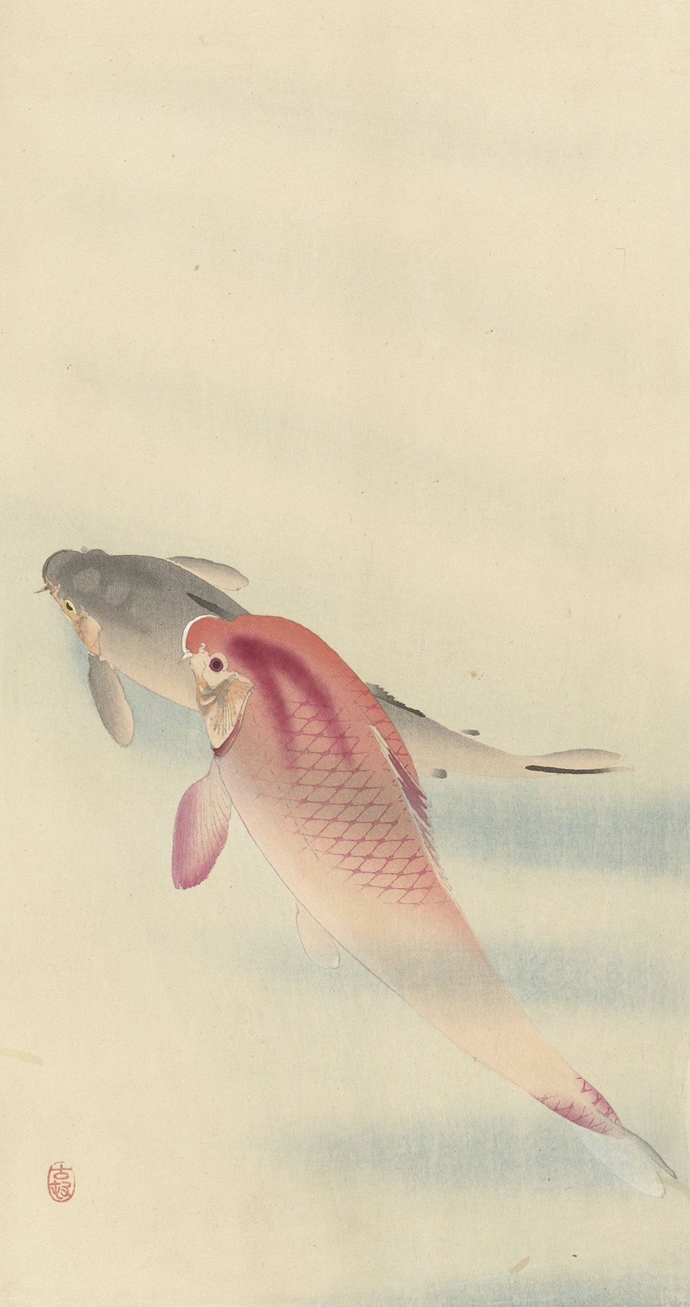 Two carp