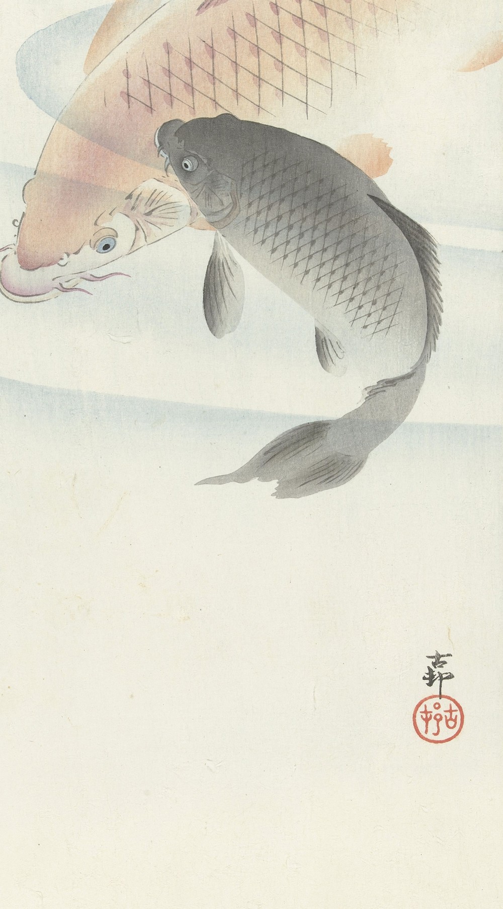 Two Carps
