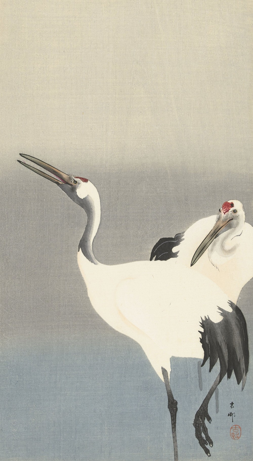 Two cranes