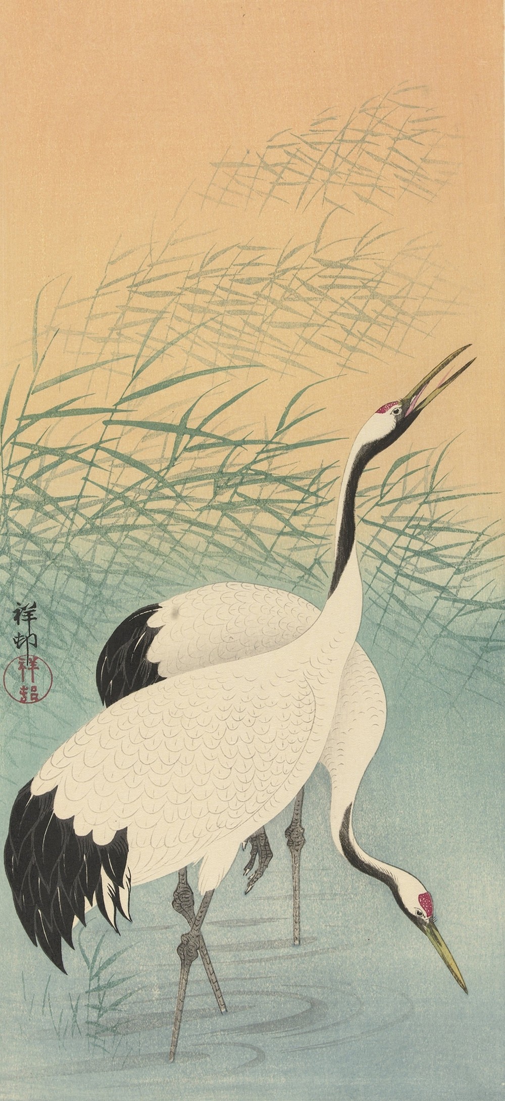 Two cranes