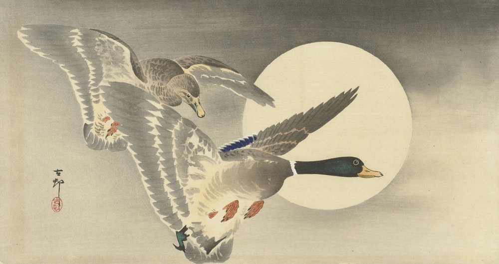 Two ducks at full moon
