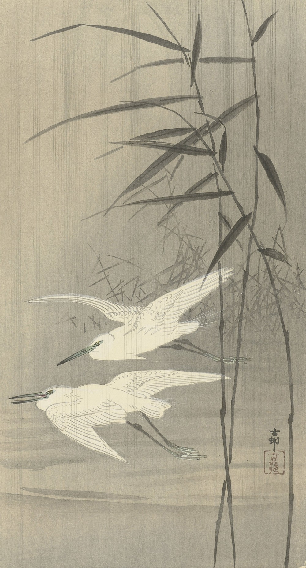 Two egrets in flight