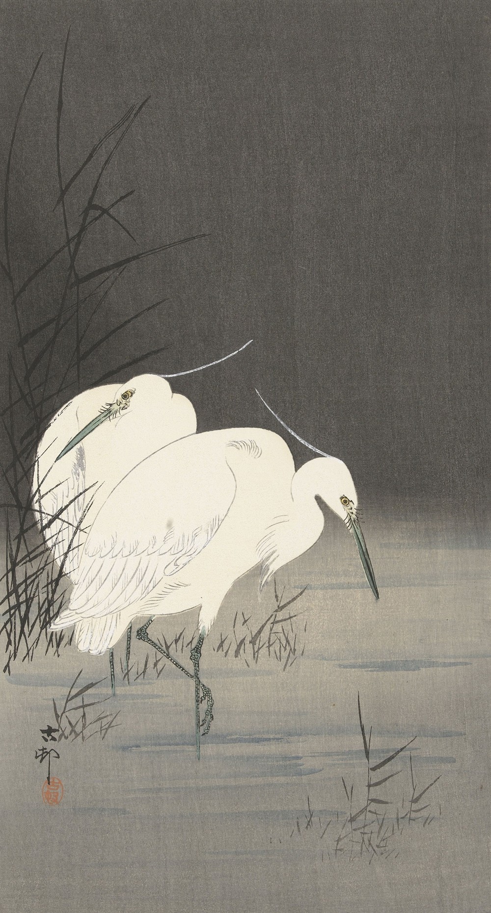 Two egrets in the reeds